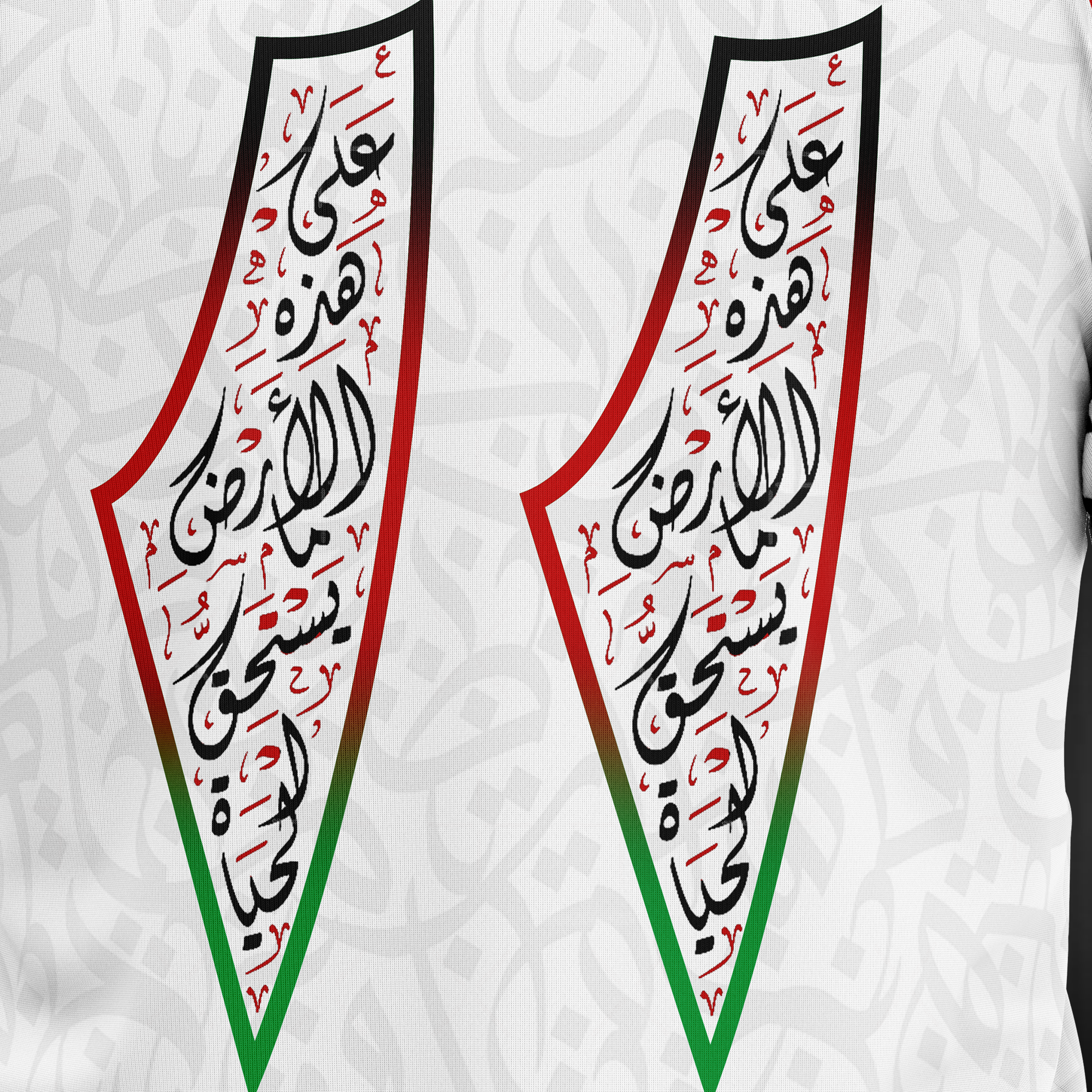 Palestine X Whiteout  - White Football Kitz